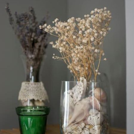 Cal Punte - Anita Apartment ปอนสต์ ภายนอก รูปภาพ